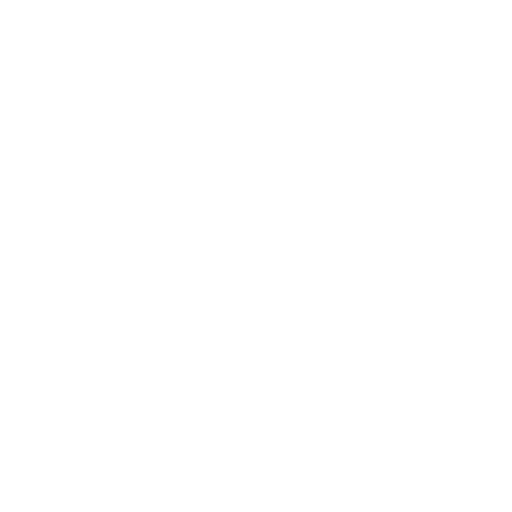 Desenvolvedor WEB - CSS