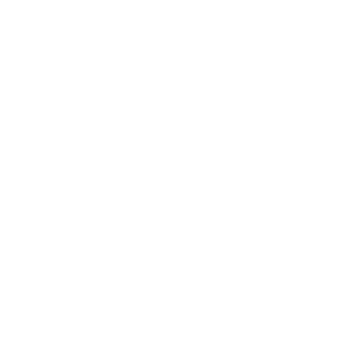 Desenvolvedor WEB - WORDPRESS