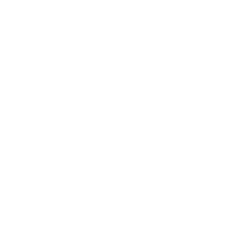 Evolução Profissional - Desenvolvimento Contínuo
