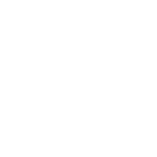 Evolução Profissional - Primeiros Passos