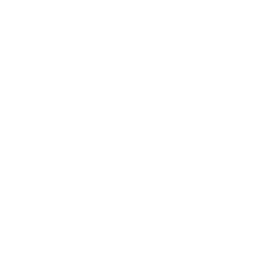 Evolução Profissional - Técnicas Avançadas